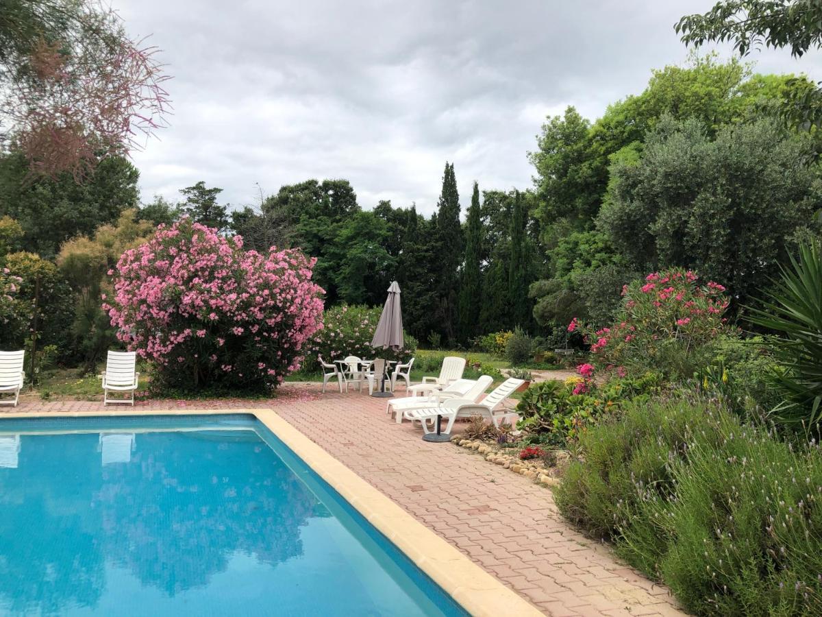 Duplex 130M2 Dans Un Mas Entoure De Vergers - Piscine Saint-Feliu-d'Avall Екстериор снимка