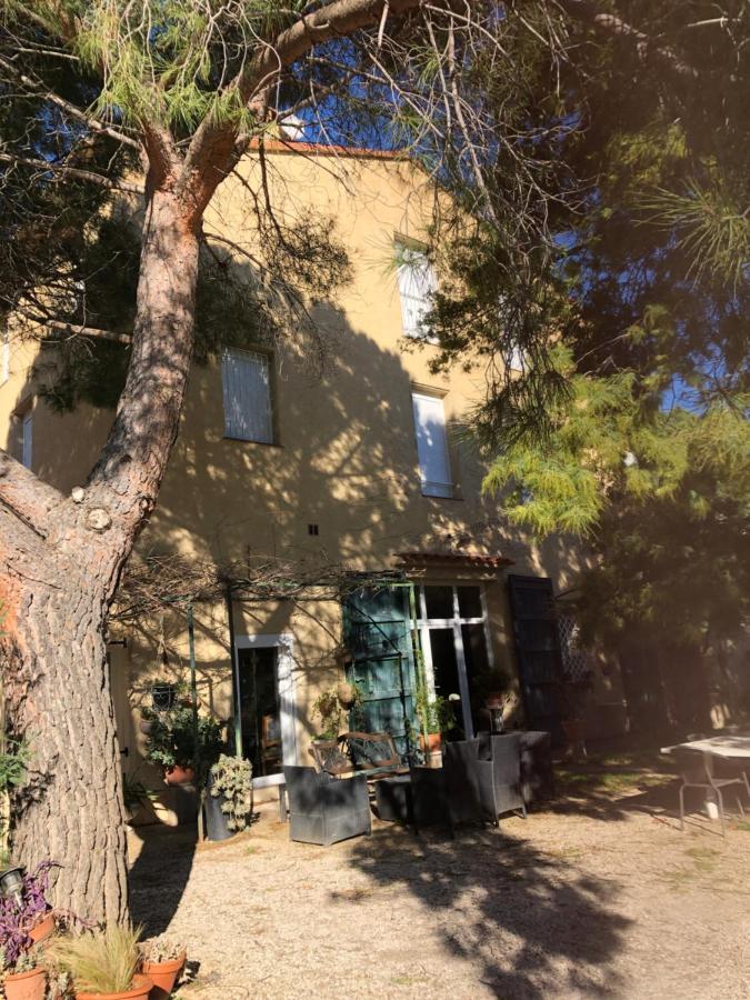 Duplex 130M2 Dans Un Mas Entoure De Vergers - Piscine Saint-Feliu-d'Avall Екстериор снимка